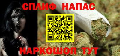 стафф Донецк