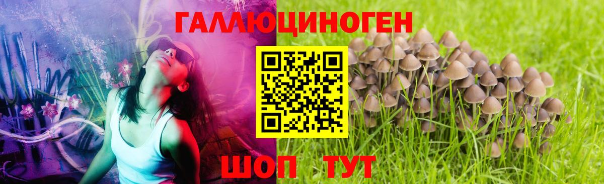 Галлюциногенные грибы GOLDEN TEACHER  Псилоцибиновые грибы Psilocybe  Лосино-Петровский  как найти закладки  Вход с VPN 